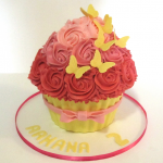 Specialty Cakes and giant, mini or normal size cupcakes are always fun